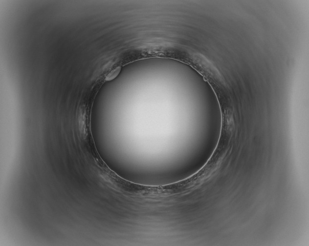 X0000113091060200908281239