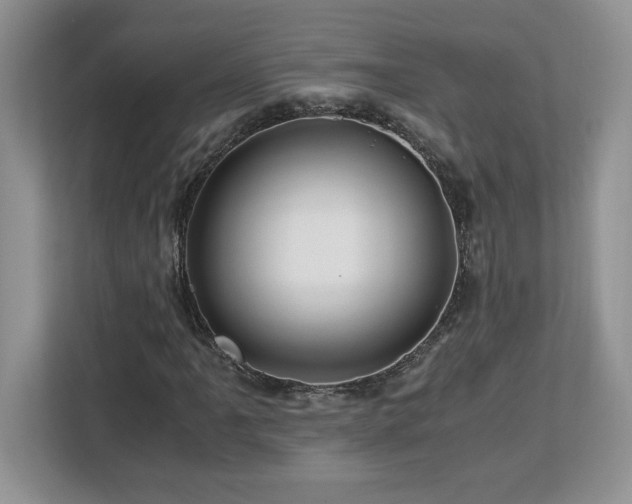 X0000113091061200908281239