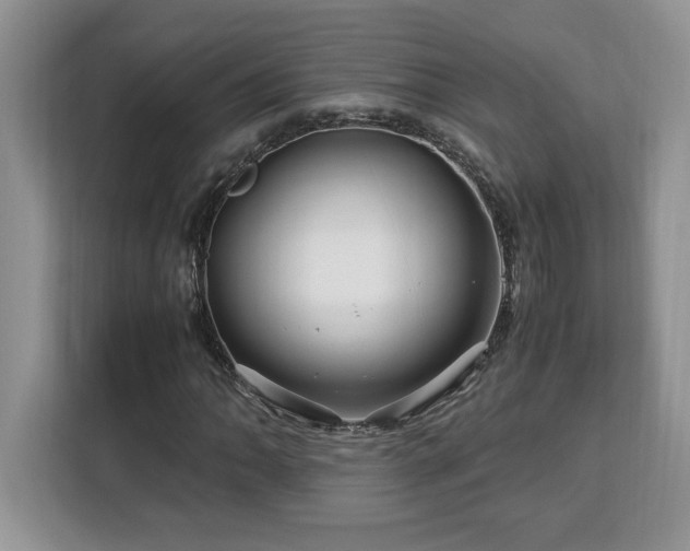 X0000113091062200908281239