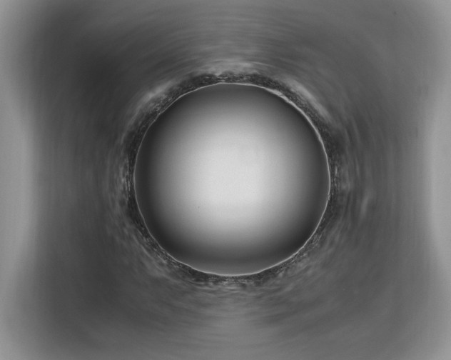 X0000113091063200908281239