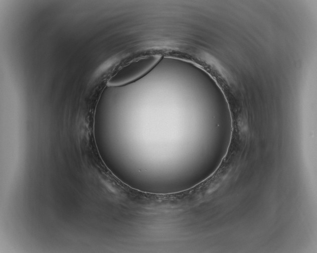 X0000113091064200908281239