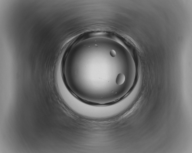 X0000113091065200908281239