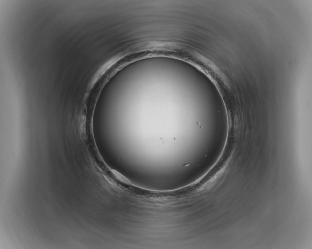 X0000113091066200908281239