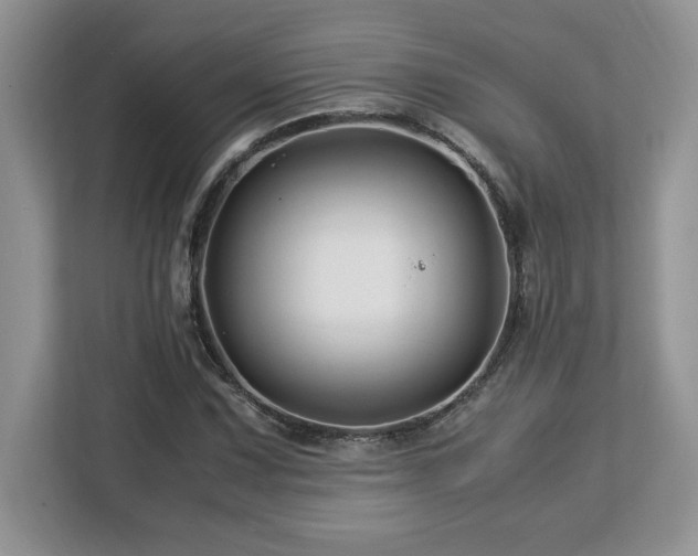 X0000113091067200908281239