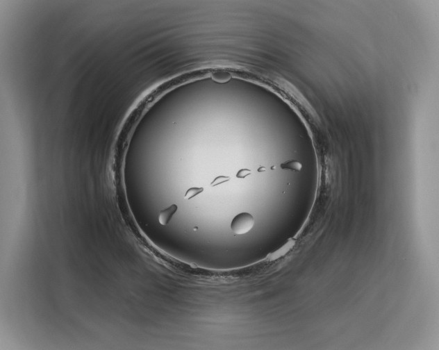 X0000113091068200908281239