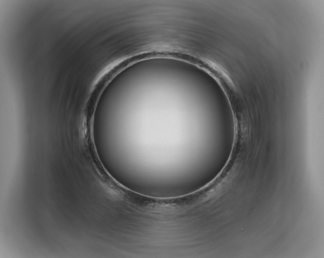 X0000113091070200908281239