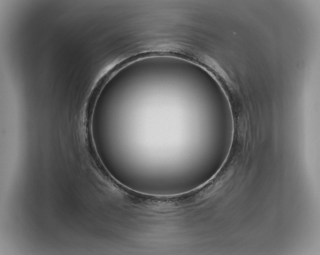 X0000113091071200908281239