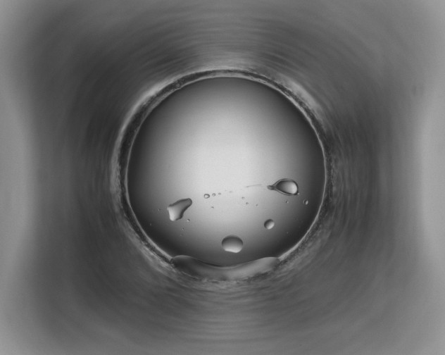 X0000113091072200908281239