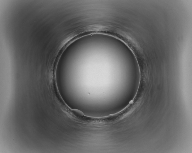 X0000113091073200908281239