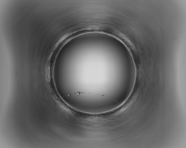 X0000113091075200908281239