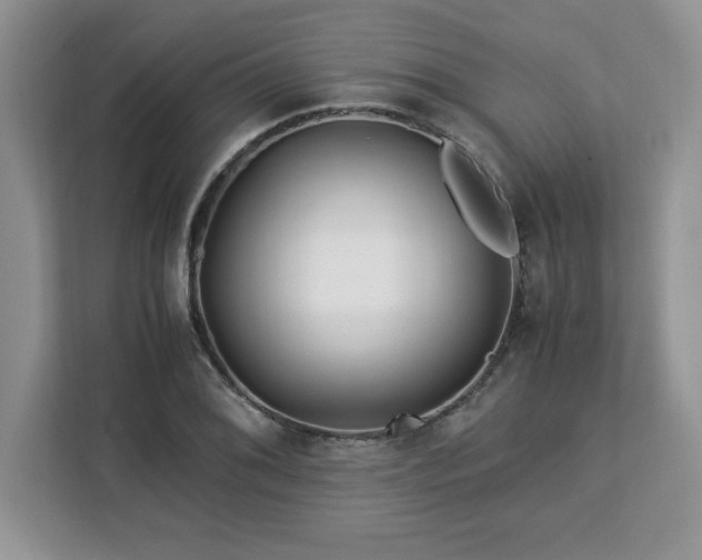 X0000113091076200908281239