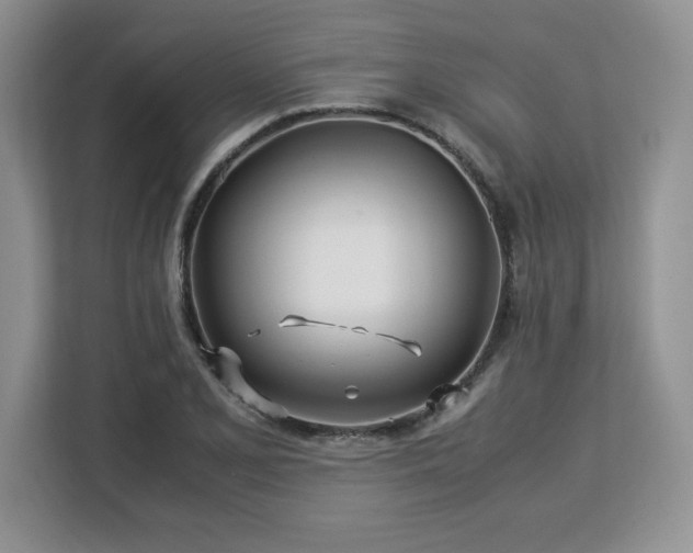 X0000113091077200908281239