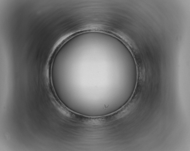 X0000113091078200908281239