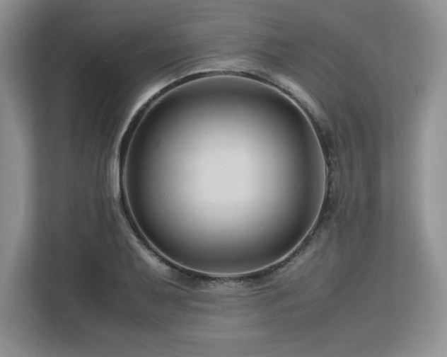X0000113091079200908281239