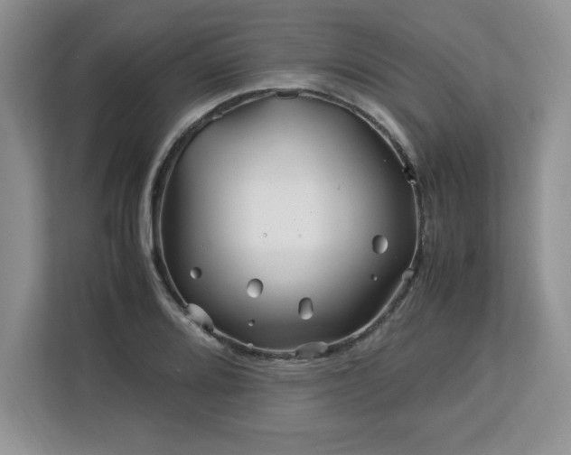 X0000113091080200908281238