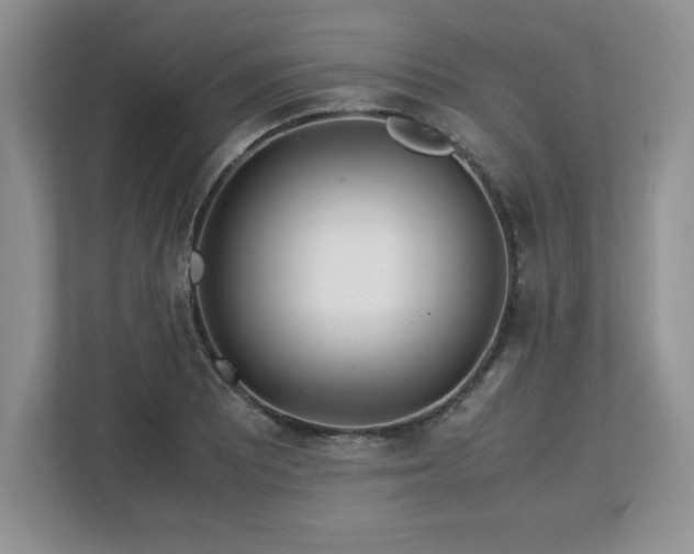 X0000113091081200908281238
