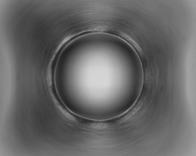 X0000113091083200908281238
