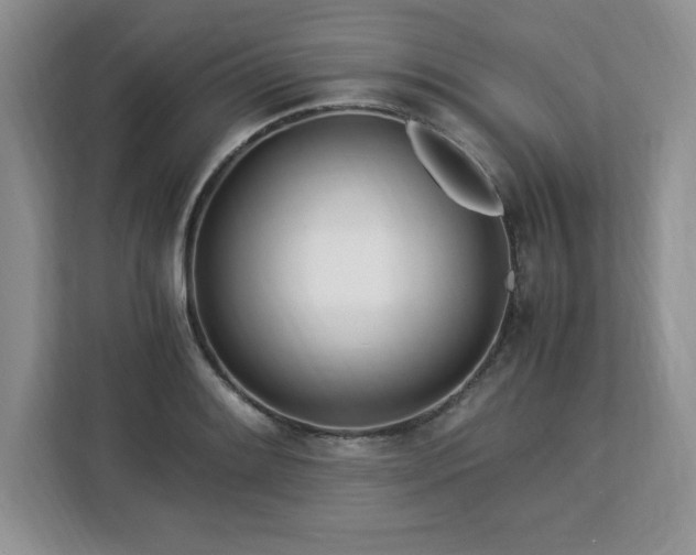 X0000113091084200908281238