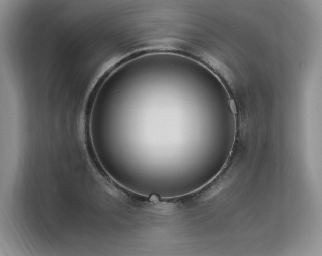 X0000113091085200908281238