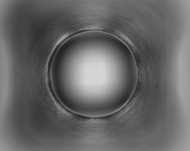 X0000113091087200908281238