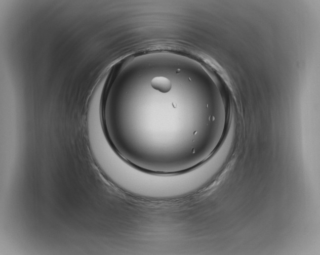 X0000113091089200908281238
