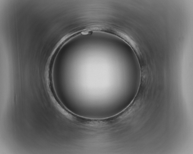 X0000113091091200908281238