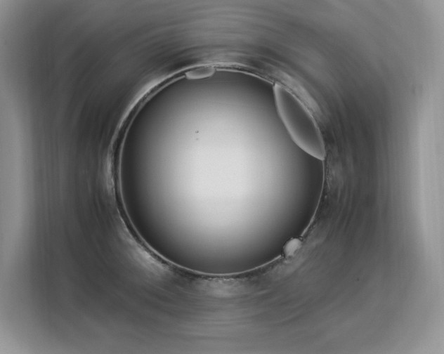X0000113091092200908281238