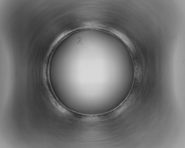 X0000113091094200908281238