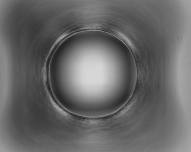 X0000113091095200908281238