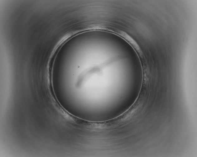 X0000113091096200908281238