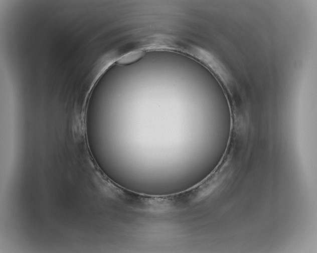X0000113091097200908281238