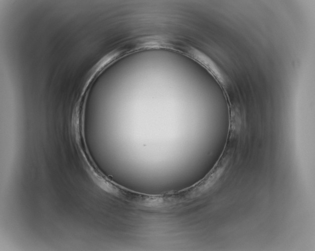 X0000113091098200908281238