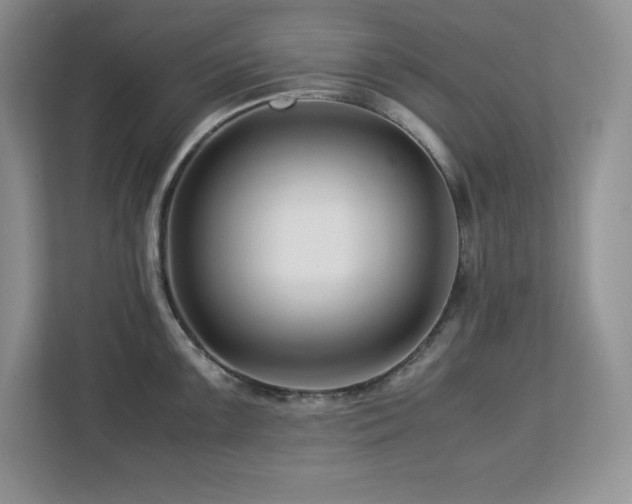 X0000113091099200908281238
