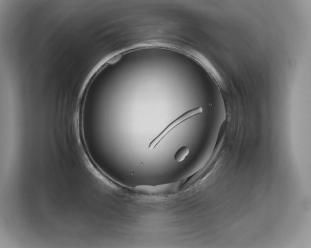 X0000113091100200908281238