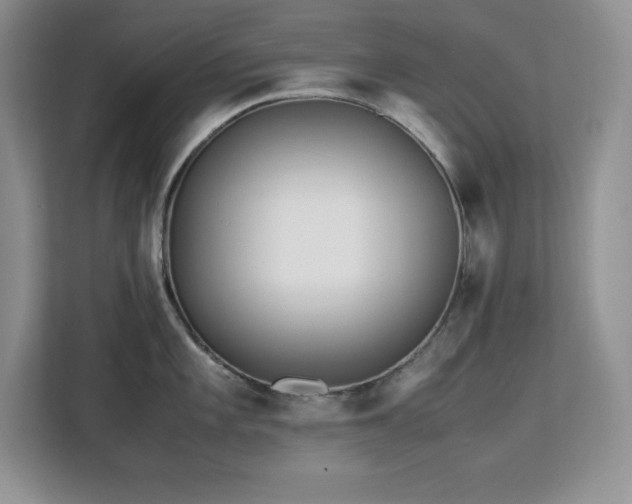 X0000113091101200908281238