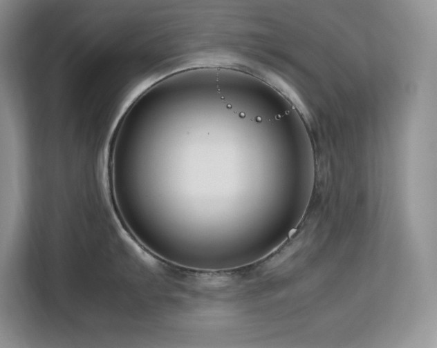 X0000113091103200908281238