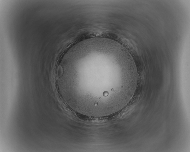 X0000113091105200908281238
