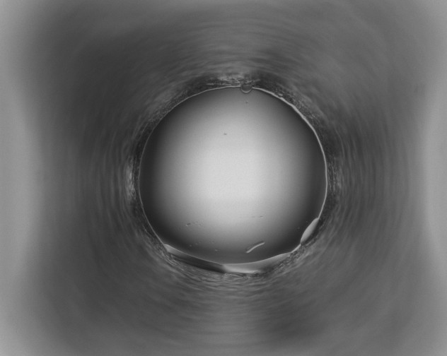X0000113091106200908281238