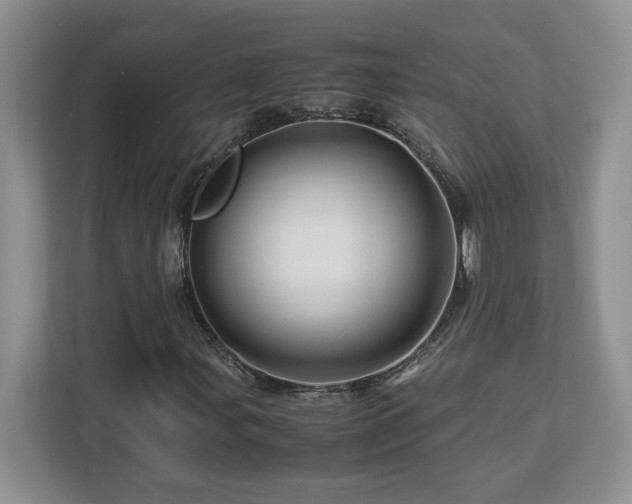 X0000113091107200908281238