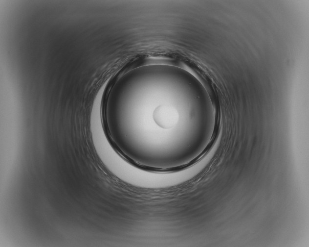 X0000113091108200908281238