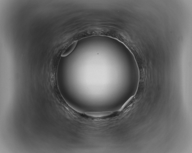 X0000113091109200908281238