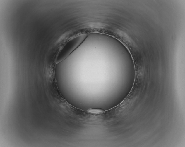 X0000113091110200908281238