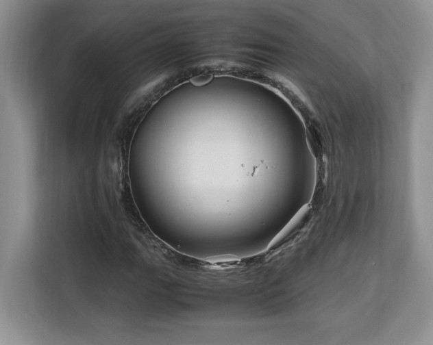X0000113091111200908281238