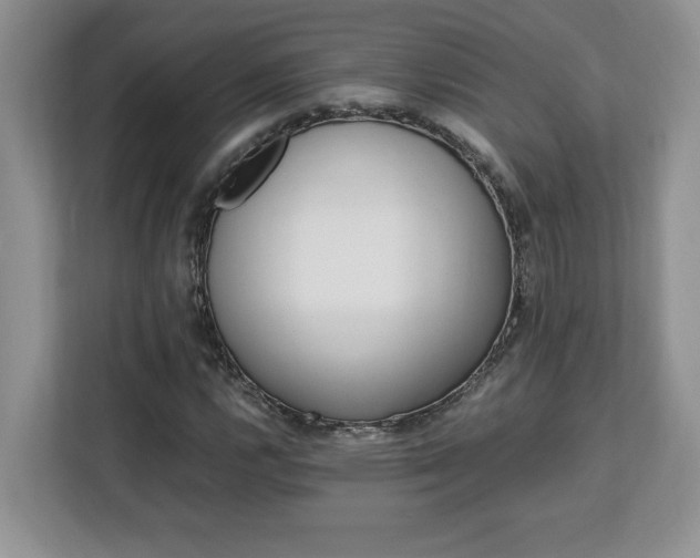 X0000113091112200908281238
