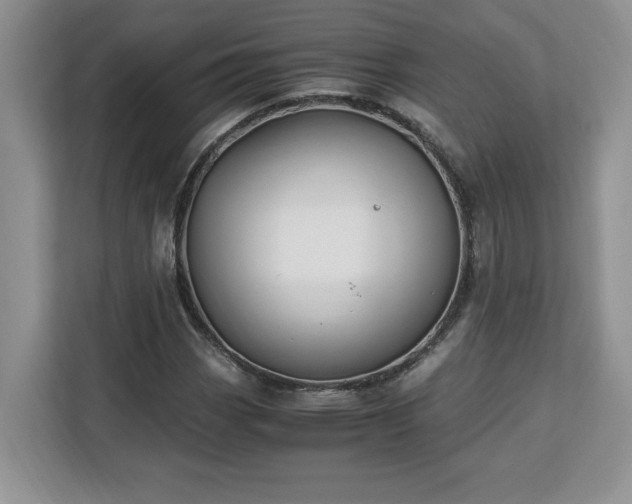 X0000113091113200908281238