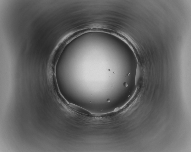 X0000113091115200908281238