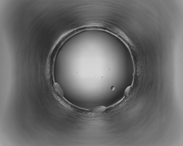 X0000113091116200908281238