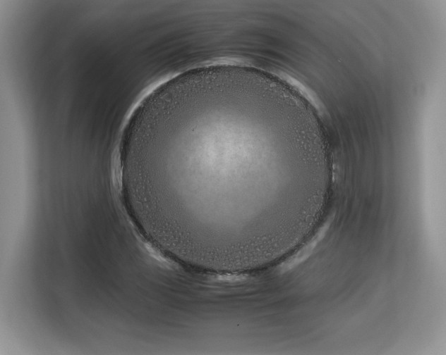 X0000113091117200908281238
