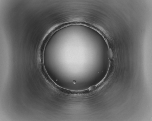 X0000113091118200908281238