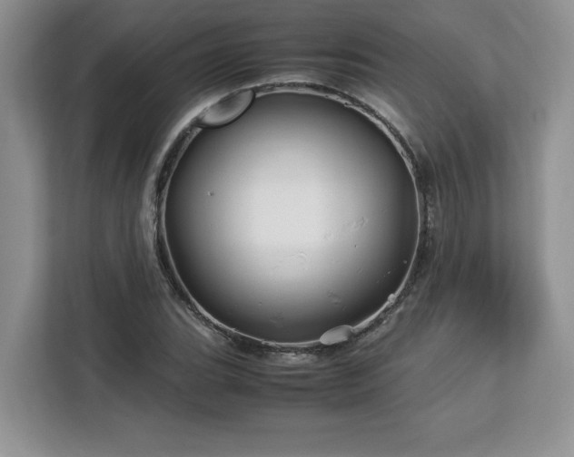 X0000113091119200908281238